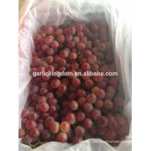 Vender uvas de Yunnan / uvas rojas frescas / mejores uvas rojas frescas